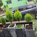 상아약국 이미지