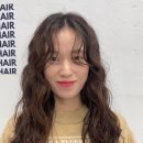 하블헤어 성수본점