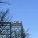 이층약국 | [송파/문정] 촉촉 탄력 피부 신부관리 화이트태닝 후기 ‘몰디브태닝 송파문정점’