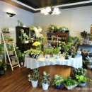 퀸스가든 이미지