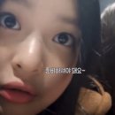 아르도르 이미지