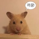 심피트니스