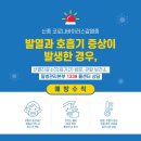 리에스테틱 이미지