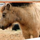 전진목장 이미지