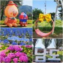 [가평] 2025 자라섬 꽃 페스타 남도 꽃정원
