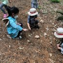 금란어린이집 이미지