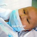 마포초교 이미지