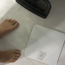 서대전 | 대전 중구 유천동 본사이코리아 주짓수서대전점 후기 성인취미