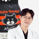 진펠리스