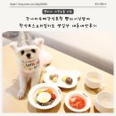 맘마수제간식 | 강아지수제간식추천 펫다이닝맘마 한식코스요리밀키트 생일상 내돈내산후기