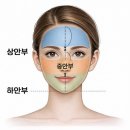 고운선에스테틱