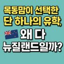 목동 유학원 | 목동맘이 선택한 단 하나의 유학, 왜 다 뉴질랜드일까?