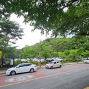 신기세천4 | [대전 여름 가볼만한 계곡] 대전 세종 여름 산행으로 딱 좋은! 대중교통으로 가는 식장산 등산코스...
