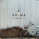 경주 양식 맛집 &#39;황리단길 아니마(ANIMA)&#39; 후기