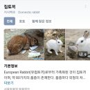 뜻 이쁜 닉네임 팝니다 이미지