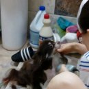 와와민박 네이버블로그