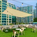 오렌지 애견카페 이미지