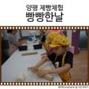 용문산야생화마을 이미지