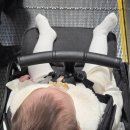 개랑 나들이 | 윤뜨리와 12월 코스트코 대구점 나들이 (할인, 가격, 구매템 후기)