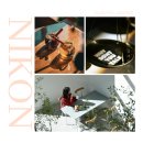 삼동로-2 | 입문용 미러리스 카메라 추천 니콘 풀프레임 Z6III 울산 출사 후기