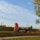 동빈목장 | 안성 팜랜드 코스모스 축제 멋지네요