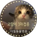 더힐동물병원 이미지