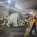 안동방역공사 이미지