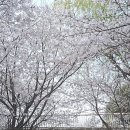 용암천1 이미지