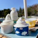 일포목장 이미지