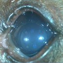 훈 동물병원 이미지