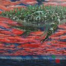 조은주 카카오 검색결과