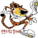 반백수