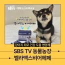 [강아지 피모 건강 도움 영양제] 벨라맥스 비어헤페