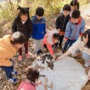 동산자연유치원 이미지