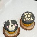 댕코롬 이미지