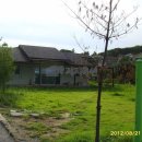 분당-237 이미지