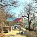 신선지낚시터 | 강화빙어낚시 강화빙어축제 신선지낚시터 아이와 빙어낚시 가까운빙어낚시터 아이들낚시체험후기