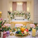 누리시아 이미지