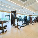 홍프로짐 이미지