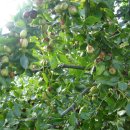 반여3동-11 이미지