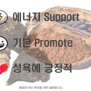 베터초콜릿 이미지