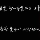 더(The)하얀 이미지