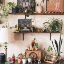 싱그런 홈가드닝 이미지