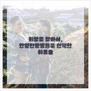 자연본한의원 네이버블로그