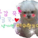 해담동물병원 이미지