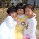 예본성광유치원 Daum카페