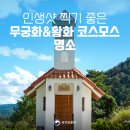 코스모스 산업 이미지