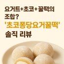 달달함 끝판왕 등장! 초코퐁당요거꿀떡, 이건 반칙이야