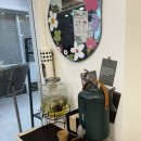 그린샐러드 | [상암동 샐러드 ‘그린하이 샐러드’ 방문후기]