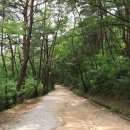 남장사약수터 이미지